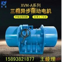 YJDX-40-6三相異步振動(dòng)電機(jī) 振動(dòng)力40KN