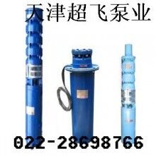 天津潛水電機，天津潛水泵