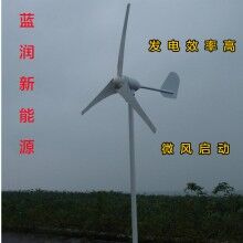 山東藍(lán)潤家用風(fēng)力發(fā)電機